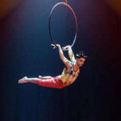 Circo